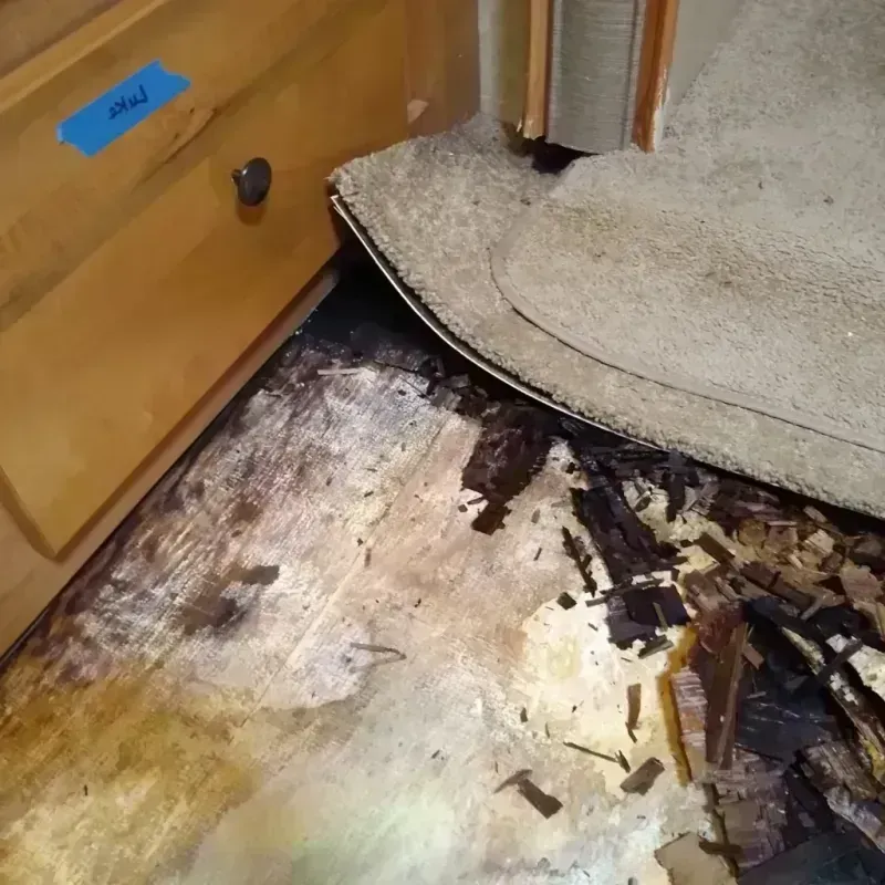 Best Wood Floor Water Damage Service in Richmond Heights, FL